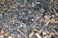 Uhlík pro mulčování CARBO-MULČ-SOIL 1000 litrů